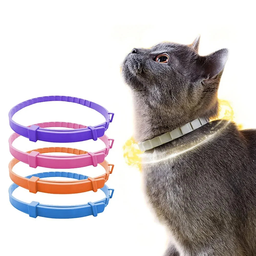 Adjustable Waterproof Pet Collar – Dogs & Cats