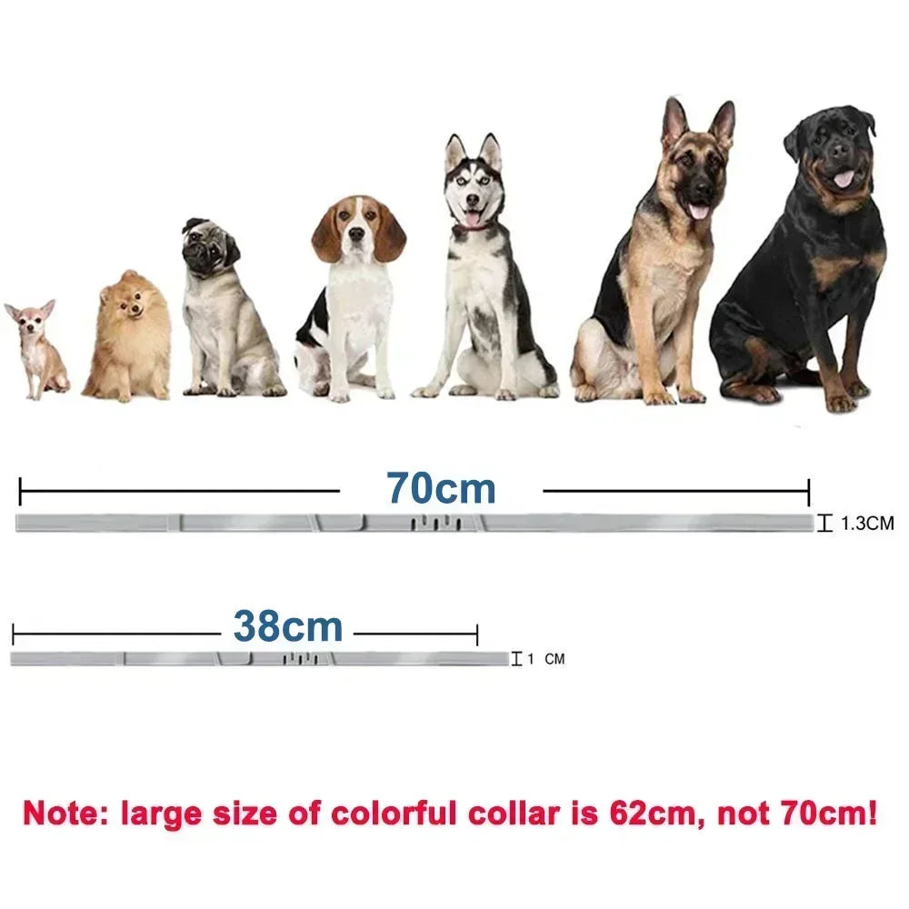 Adjustable Waterproof Pet Collar – Dogs & Cats
