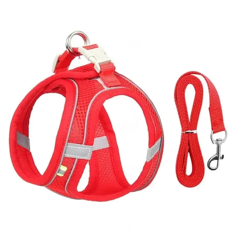 Cats Dog Accessories Small Dog Collar Safety Vest Pet Chest Rope Dogs Cover Breathable Adjustable Harnesses Supplies Products - HONORABLE VETERANS SOLUTIONS