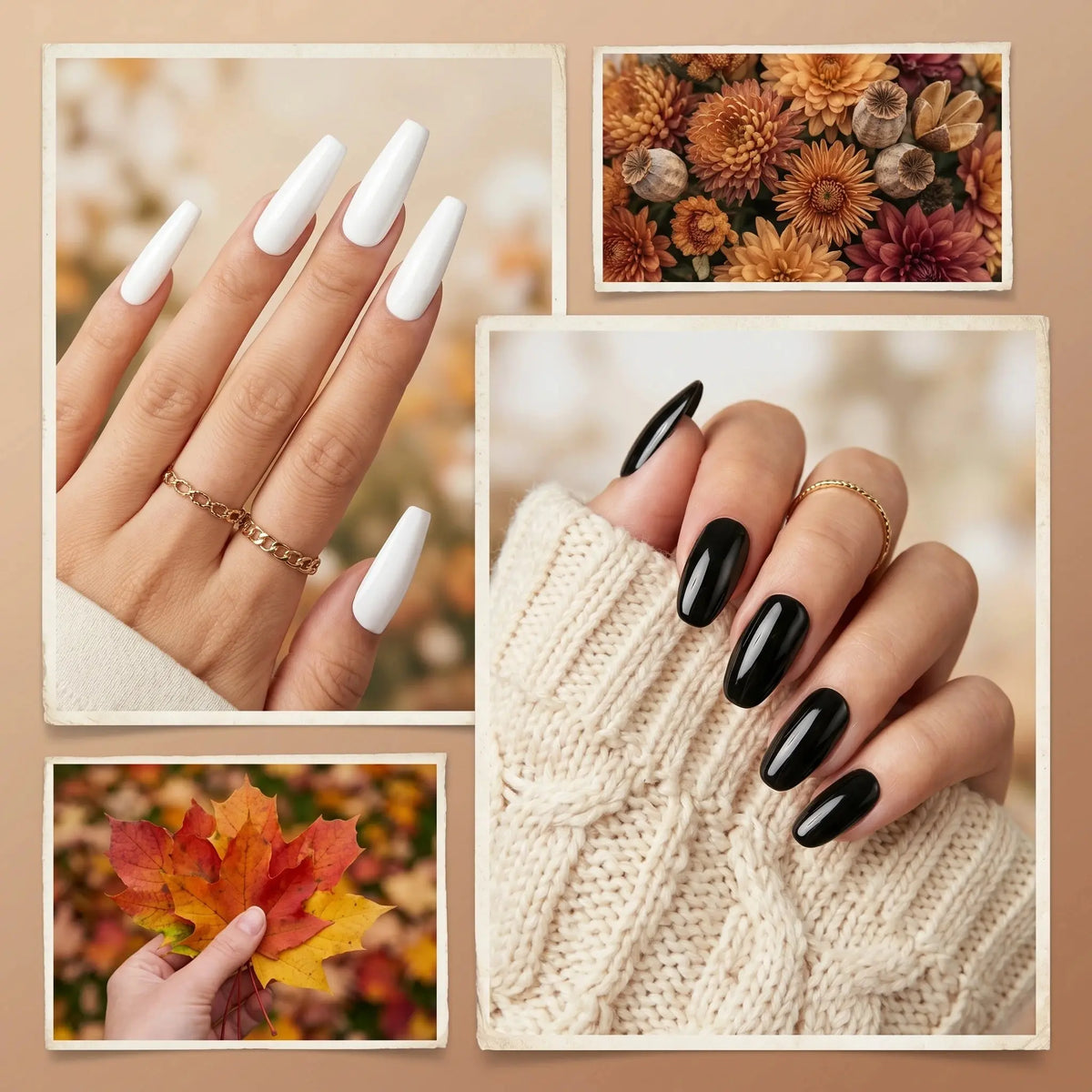 Classic black and white gel nail polish, suitable for fingernails and toenails, UV/LED cured. Creates vibrant nail art - HONORABLE VETERANS SOLUTIONS