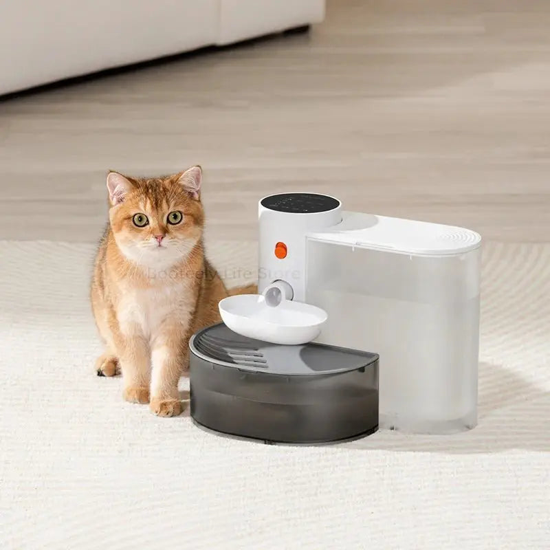 Dispenser Cat Water Fountain Moving Water Unplugged Automatic Water Feeder Pet Dog Drinker Pet Feeder Cat Fountain - HONORABLE VETERANS SOLUTIONS