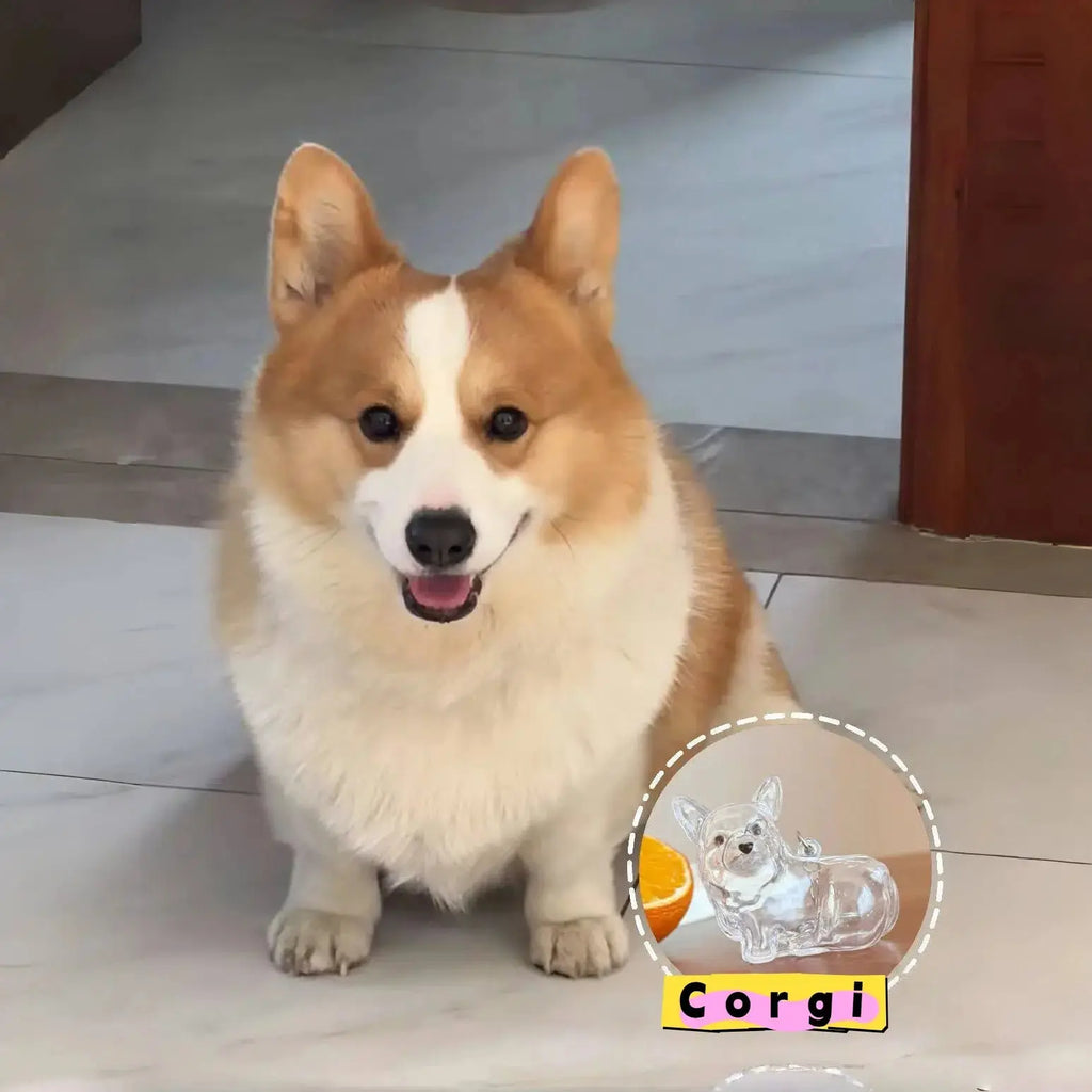 Dog Hair Storage Cute Pendant Keychain Bag Pendant Couple Car Key Chains Jewelry Souvenir Collection Gift Decoration Accessories - HONORABLE VETERANS SOLUTIONS