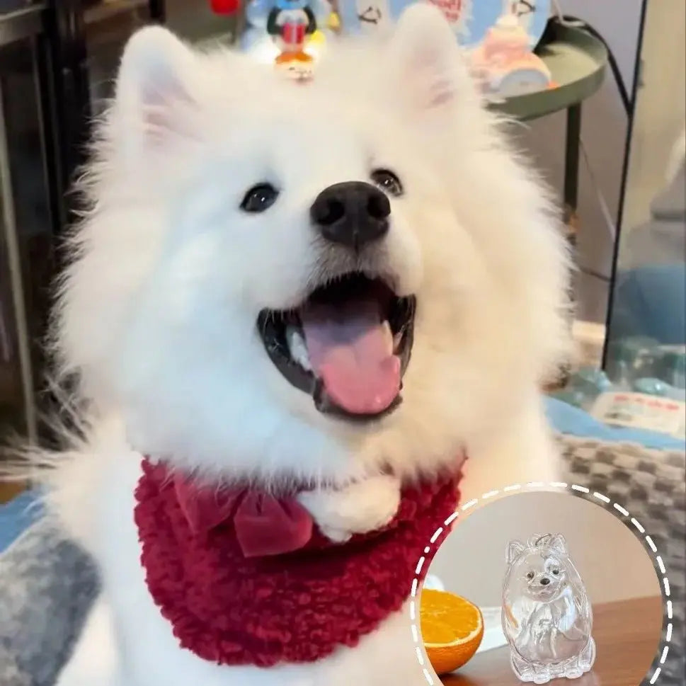 Dog Hair Storage Cute Pendant Keychain Bag Pendant Couple Car Key Chains Jewelry Souvenir Collection Gift Decoration Accessories - HONORABLE VETERANS SOLUTIONS