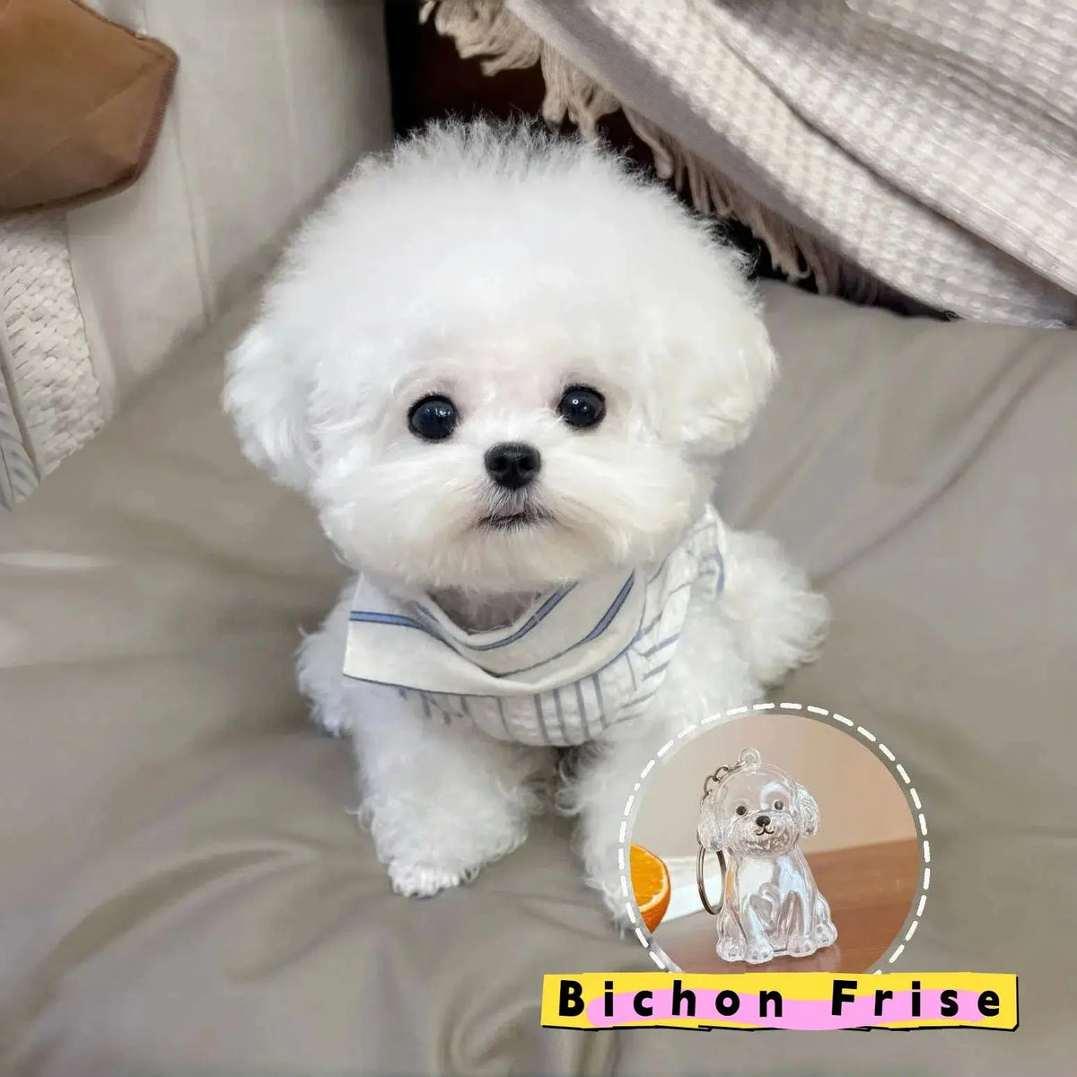 Dog Hair Storage Cute Pendant Keychain Bag Pendant Couple Car Key Chains Jewelry Souvenir Collection Gift Decoration Accessories - HONORABLE VETERANS SOLUTIONS