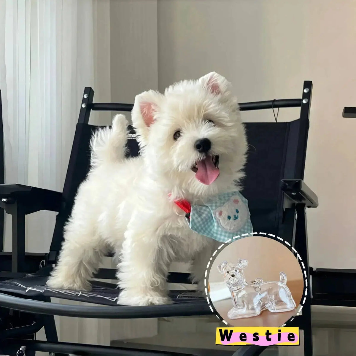 Dog Hair Storage Cute Pendant Keychain Bag Pendant Couple Car Key Chains Jewelry Souvenir Collection Gift Decoration Accessories - HONORABLE VETERANS SOLUTIONS