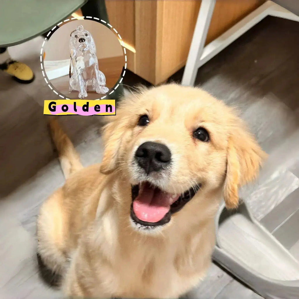 Dog Hair Storage Cute Pendant Keychain Bag Pendant Couple Car Key Chains Jewelry Souvenir Collection Gift Decoration Accessories - HONORABLE VETERANS SOLUTIONS