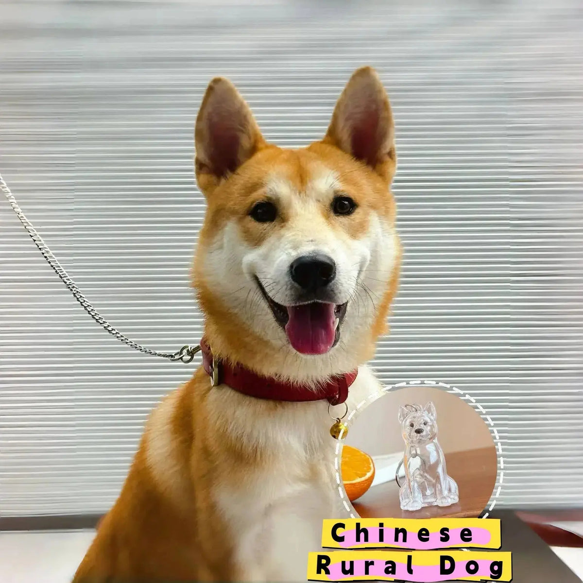 Dog Hair Storage Cute Pendant Keychain Bag Pendant Couple Car Key Chains Jewelry Souvenir Collection Gift Decoration Accessories - HONORABLE VETERANS SOLUTIONS