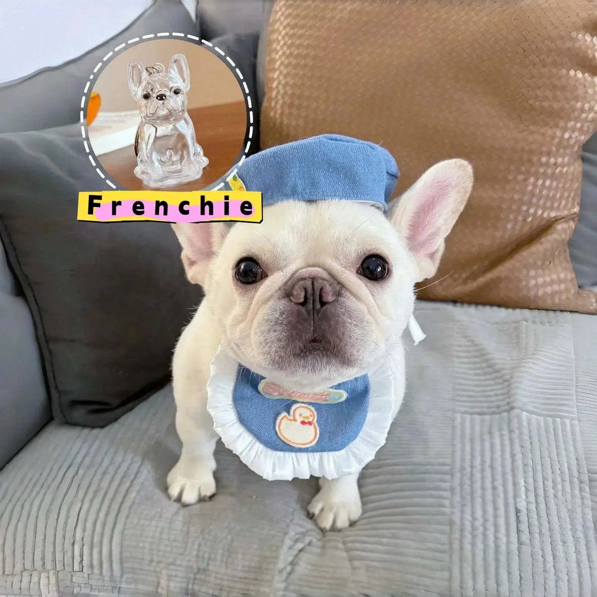 Dog Hair Storage Cute Pendant Keychain Bag Pendant Couple Car Key Chains Jewelry Souvenir Collection Gift Decoration Accessories - HONORABLE VETERANS SOLUTIONS