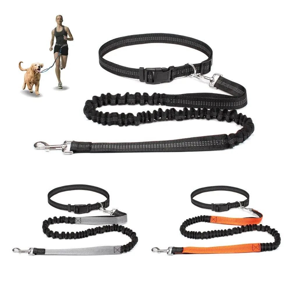Hand Free Dog Leash for Pet Walking Running Jogging Adjustable Dog Leash Waist Belt Chest Strap Traction Rope Dog Accessories - HONORABLE VETERANS SOLUTIONS