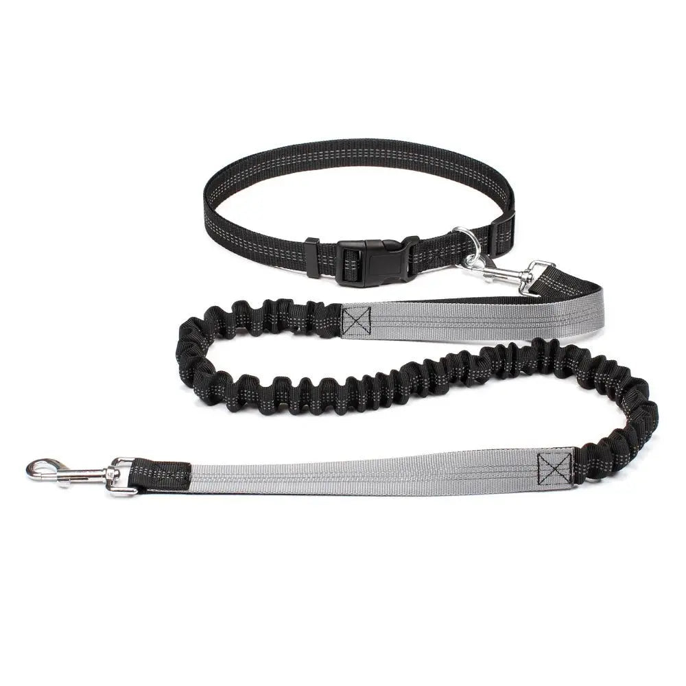 Hand Free Dog Leash for Pet Walking Running Jogging Adjustable Dog Leash Waist Belt Chest Strap Traction Rope Dog Accessories - HONORABLE VETERANS SOLUTIONS