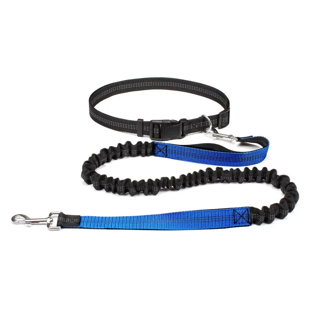 Hand Free Dog Leash for Pet Walking Running Jogging Adjustable Dog Leash Waist Belt Chest Strap Traction Rope Dog Accessories - HONORABLE VETERANS SOLUTIONS