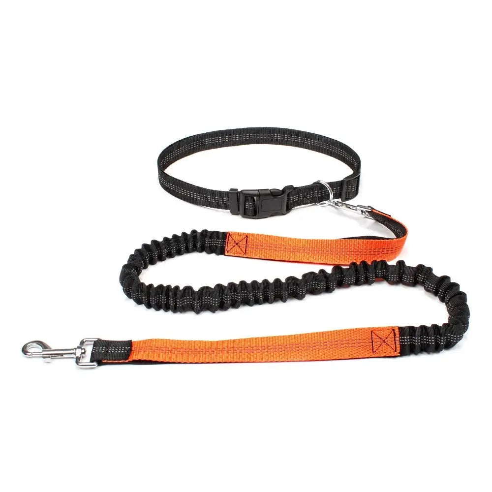 Hand Free Dog Leash for Pet Walking Running Jogging Adjustable Dog Leash Waist Belt Chest Strap Traction Rope Dog Accessories - HONORABLE VETERANS SOLUTIONS