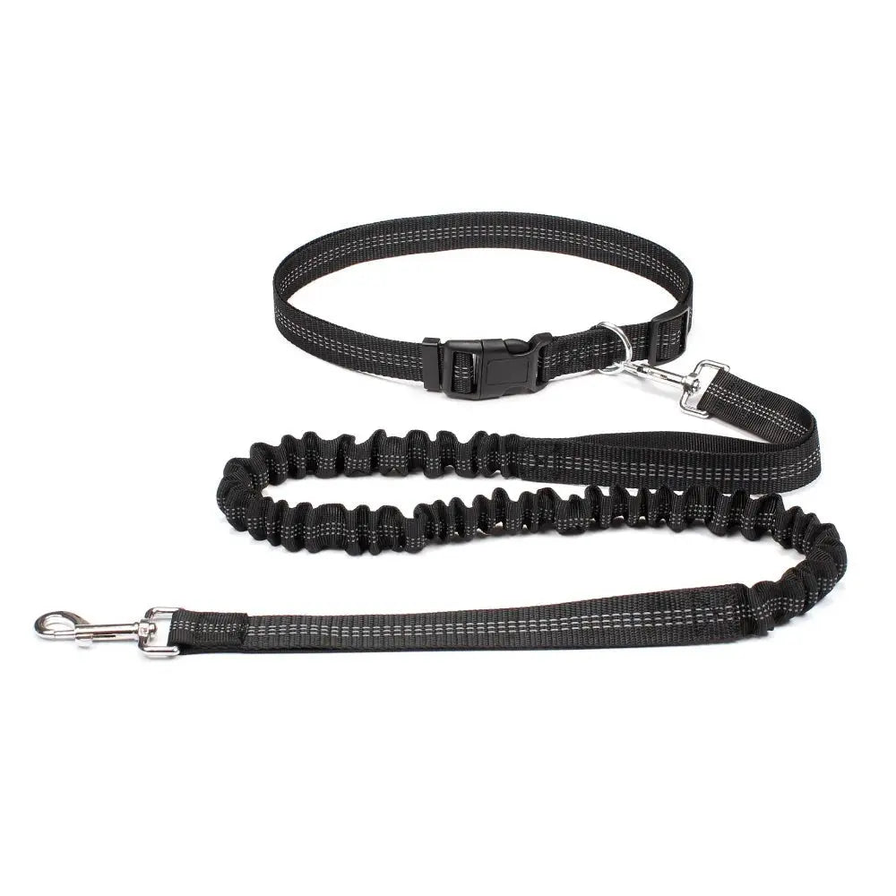 Hand Free Dog Leash for Pet Walking Running Jogging Adjustable Dog Leash Waist Belt Chest Strap Traction Rope Dog Accessories - HONORABLE VETERANS SOLUTIONS