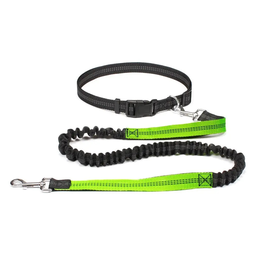 Hand Free Dog Leash for Pet Walking Running Jogging Adjustable Dog Leash Waist Belt Chest Strap Traction Rope Dog Accessories - HONORABLE VETERANS SOLUTIONS