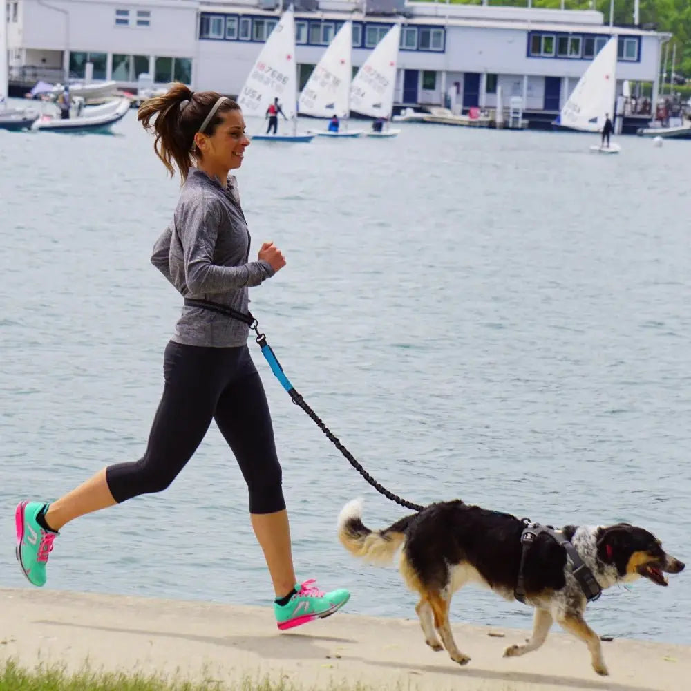 Hand Free Dog Leash for Pet Walking Running Jogging Adjustable Dog Leash Waist Belt Chest Strap Traction Rope Dog Accessories - HONORABLE VETERANS SOLUTIONS