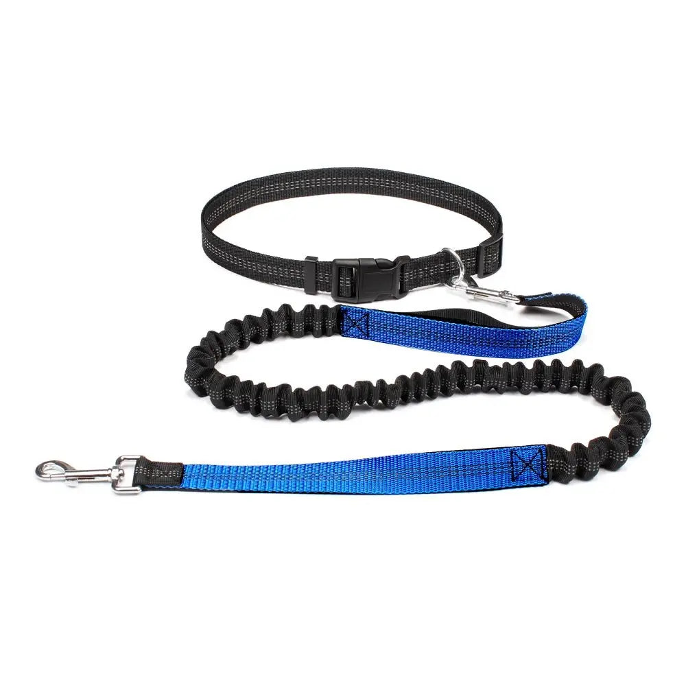 Hand Free Dog Leash for Pet Walking Running Jogging Adjustable Dog Leash Waist Belt Chest Strap Traction Rope Dog Accessories - HONORABLE VETERANS SOLUTIONS