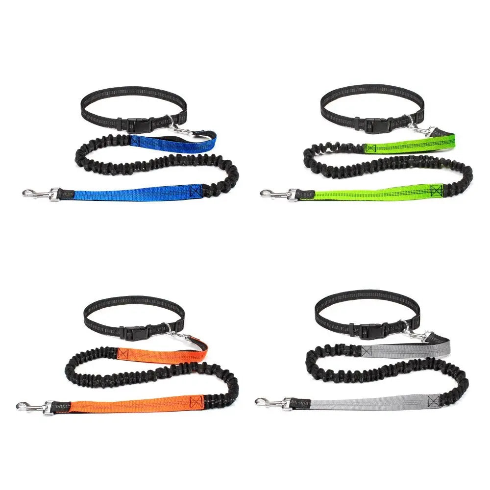 Hand Free Dog Leash for Pet Walking Running Jogging Adjustable Dog Leash Waist Belt Chest Strap Traction Rope Dog Accessories - HONORABLE VETERANS SOLUTIONS