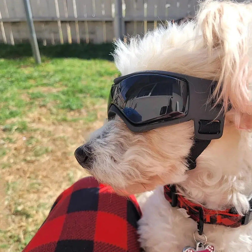 Pet Accessories Dog Outdoor UV Protection Sunglasses Cat Dog Goggles for Small Medium Breed Puppy Glasses Adjustable Straps - HONORABLE VETERANS SOLUTIONS