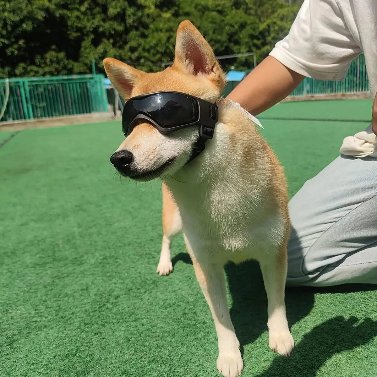 Pet Accessories Dog Outdoor UV Protection Sunglasses Cat Dog Goggles for Small Medium Breed Puppy Glasses Adjustable Straps - HONORABLE VETERANS SOLUTIONS